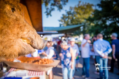 Ízek kavalkádja a Belvárosban - vasárnapig tart a Mangalicafesztivál